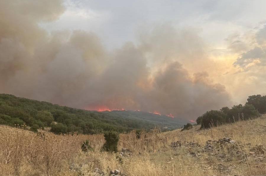Ζάρκο: Υπό έλεγχο η φωτιά που ξεκίνησε από το Δαμάσι 